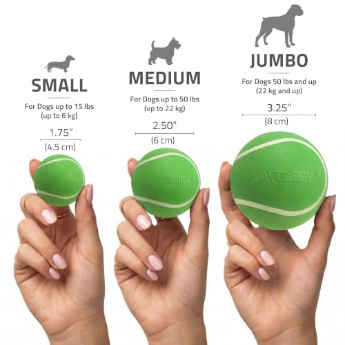 Playology Squeaky Chew Ball Dog Toy - Medium, Turkey Scent - size: Medium, style: Mom's Turkey
