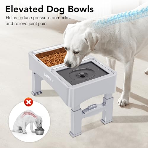 UPSKY 3-in-1 Elevated Dog Bowls Set with 4 Height Adjustable Stand, White - color: E-3-in-1 (White)
