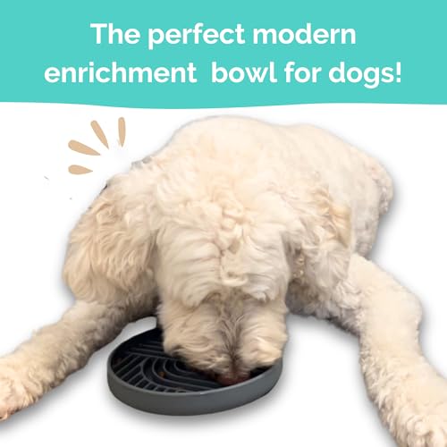 Gray Silicone Slow Feeder Bowl for Dogs, Cats and Pets by Stella and Bear Co. - color: Gray