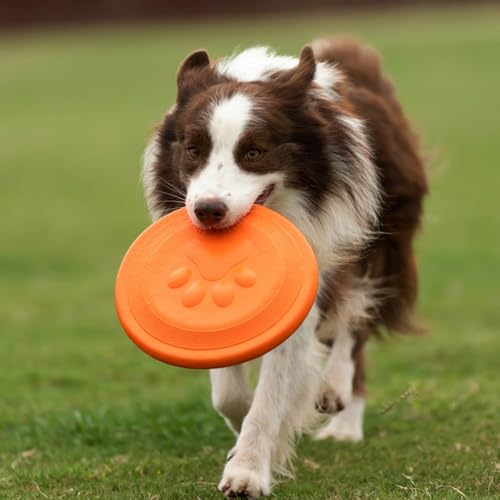 NAITELI Flyer-Soft Flying Disc Fetch Toy-for Medium/Large Dogs(Orange,L) - color: Orange, size: Large