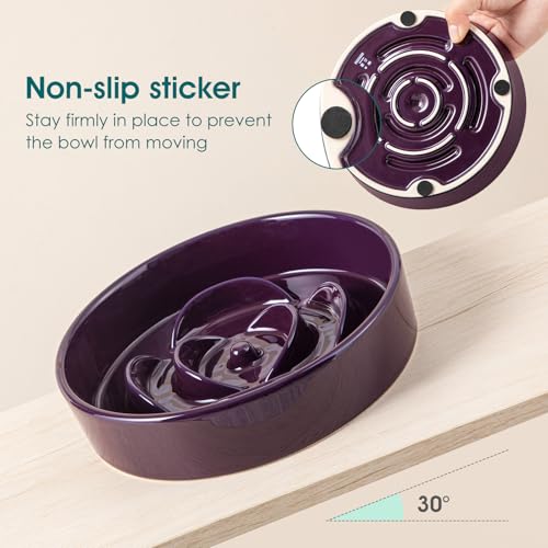 vancasso Slow Feeder Dog Bowl, 0.6 Cups Ceramic Small Puzzle Dog Food Dish - color: Dark Purple, size: S - 0.6 Cups