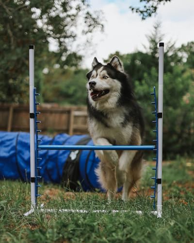 Better Sporting Dogs Elite Agility Set for Dogs, 7Pc Kit