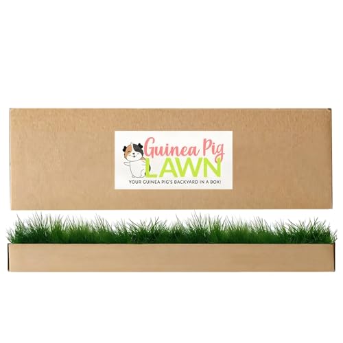 DoggieLawn Guinea Pig Pee Pads, Fresh Grass Mat, Hamster Small Pet Bed 24x9 - size: 24X9 inch