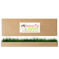 DoggieLawn Guinea Pig Pee Pads, Fresh Grass Mat, Hamster Small Pet Bed 24x9 - size: 24X9 inch