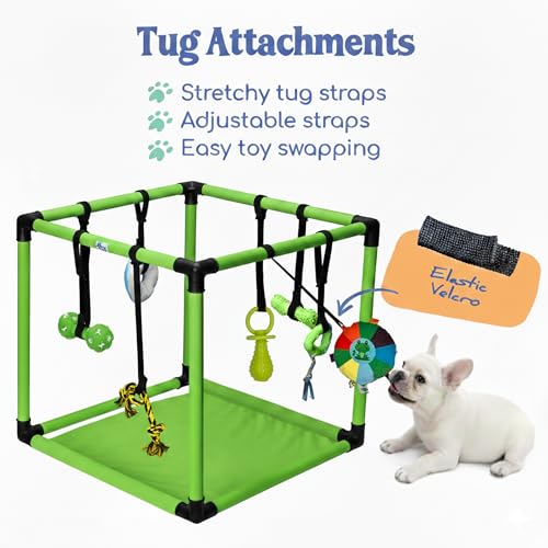 Race&Herd 19.5" Puppy Play Gym — Small Dog Jungle Activity Mat (Lime) - color: Lime