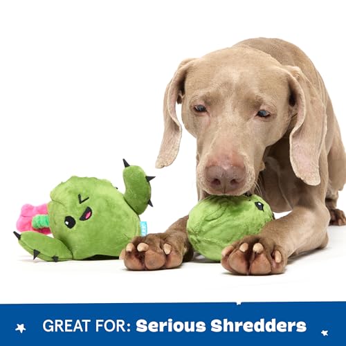BarkBox Consuela the Cactus 2-in-1 Interactive Plush Dog Toy - color: Consuela the Cactus - Large