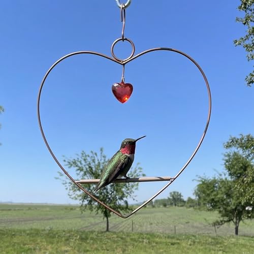 Songbird Essentials Tweet Heart Hummingbird Swing - Copper - Wooden Dowel - color: Copper