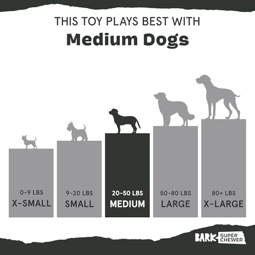 BarkBox Jelly Fetch Dog Toy - for Medium Dogs - color: Jelly Fetch-Medium