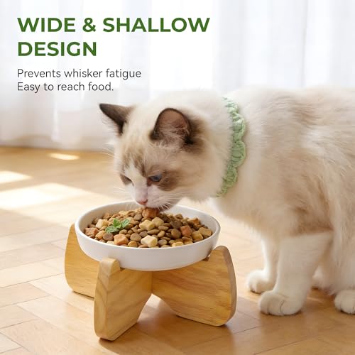 Raised Ceramic Cat Bowl 6.3" Wide Shallow Flat Bottom (2 Pack) - color: Raised Flat Bowl (2 Pack)