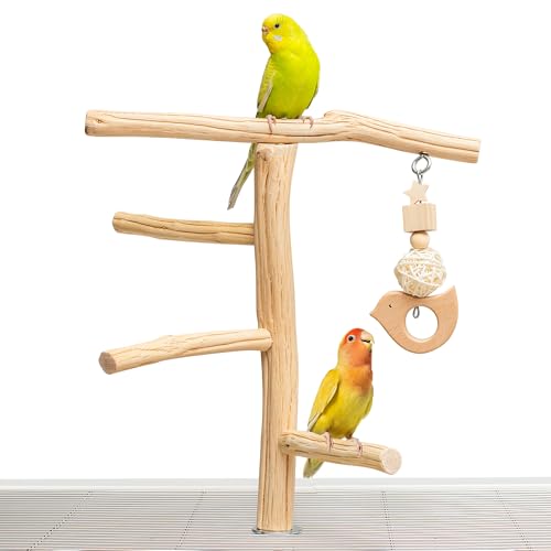 Natural Wooden Bird Perch Stand with Hanging Toy, Bark-Free Solid Wood Parrot Perch for Budgies, Parakeets, Cockatiels and Lovebirds, Inside or Cage Top Bird Playground