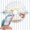 BNOSDM Bird Foraging Toy, Enrichment Parrot Puzzle Toys Transparent - color: White