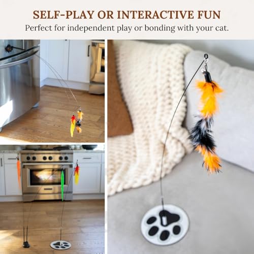 Cat Toys for Indoor Cats, Interactive Cat Toy Wand, Kitten Stuff, 9 Lures - color: Meow Motion Bundle
