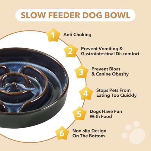 Havniva Raised Slow Feeder Dog Bowls, Elevated Dog Bowls Slow Feeder - color: 1 x Starry Sky + Stand - A, size: L- 8.2inch / 1.6 Cups