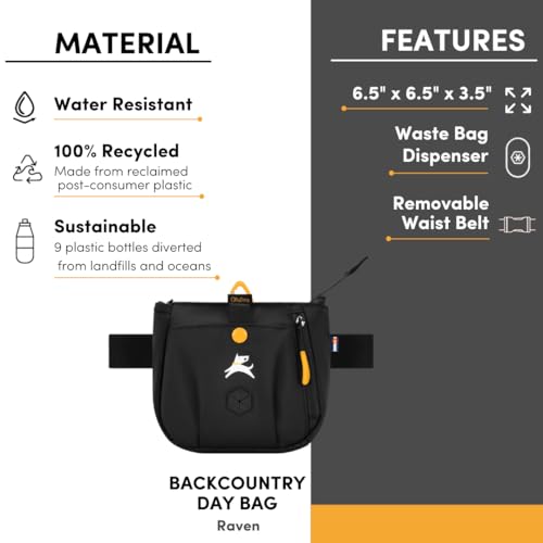 OllyDog Backcountry Day Bag | Hands-Free Dog Training Treat Pouch | Fanny/Hip Pack with Zipper Closure & Built-in Poop Bag Dispenser | Removable Waist Clip (Raven S'25) - color: Raven S'25