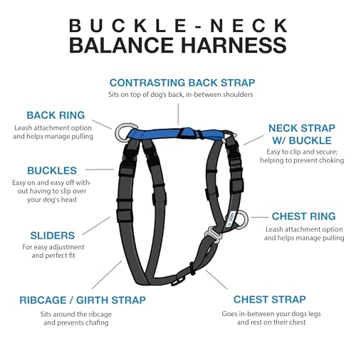 Blue-9 Balance Harness® for Dogs, No-Pull, Buckle-Neck, Training, Blue, L - color: Blue, size: L (Ribcage: 29"-43.5")