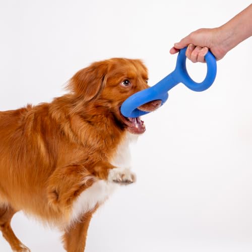 Ubbi Tuggle Dog Toy, Blue - size: One Size, style: Tug Toy, Blue