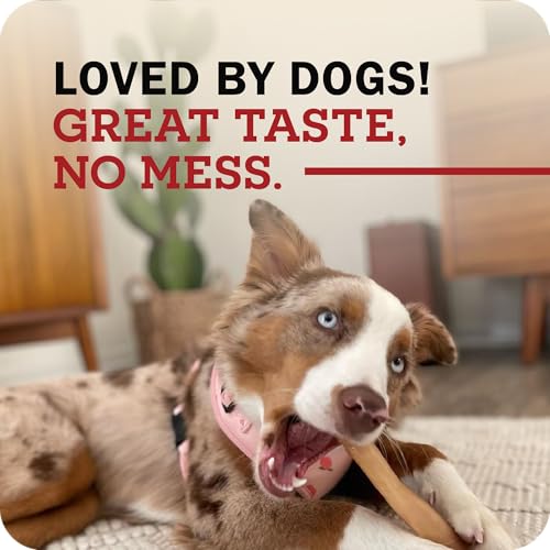 Redbarn Natural Large 12" Beef Collagen Braids - 2 Pack - Long Lasting Low-Odor Alternative to Rawhide & Bully Sticks -Single Ingredient Chew for Medium Large Dogs - size: Large 12" (2 Count)