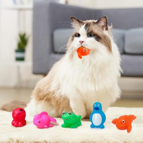 Cat Pool Toy, Cat Enrichment Toy, Portable Play Mat (1pcs Pool + 6pcs Toy)