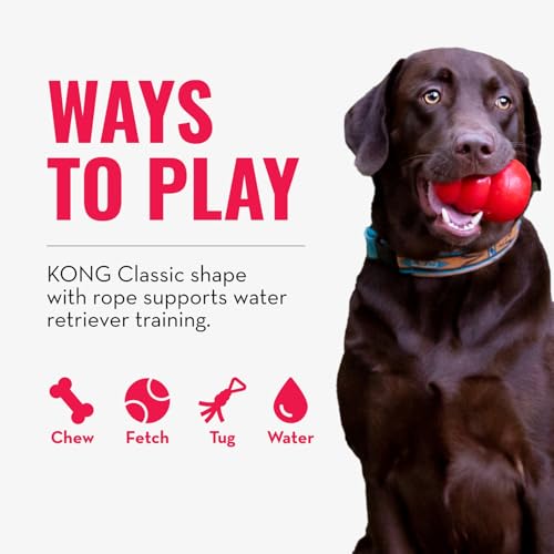 KONG Aqua Floating Fetch Toy, Natural Rubber, Orange, for Medium Dogs - size: Medium (Pack of 1)