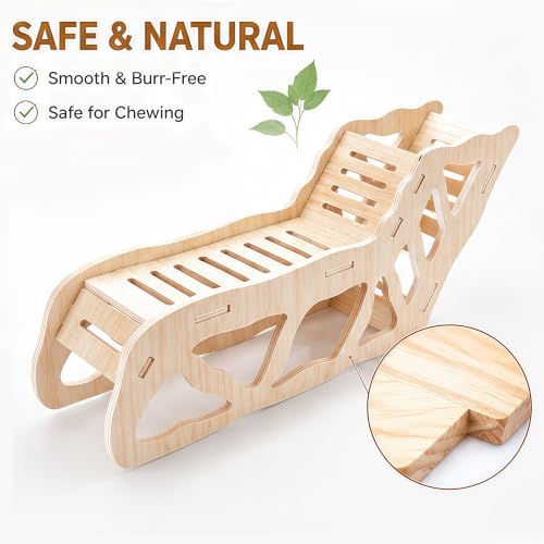 3-Piece Hamster Platform Set, Hamster Cage Accessories for Small Pets