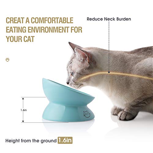 Sweejar Ceramic Raised Cat Bowls, Slanted Cat Dish Food or Water Bowls, Elevated Porcelain Pet Feeder Bowl Protect Cat's Spine, Stress Free, Backflow Prevention (Turquoise) - color: Turquoise, style: 5 Inch