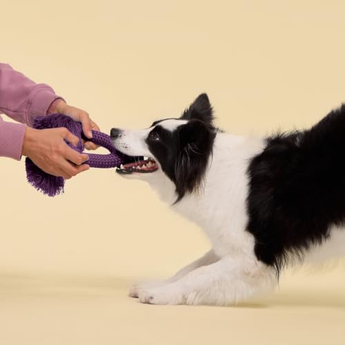 Playology Tug Rope Dog Toys for Large Breed Dogs - Jumbo, Bacon Scent - size: Jumbo, style: Bacon