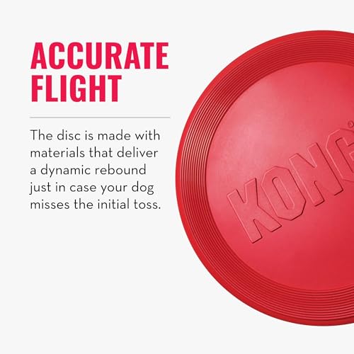 KONG Flyer, Natural Rubber Flying Disc, for Small Dogs (Pack of 2) - size: Small(2-Pack)