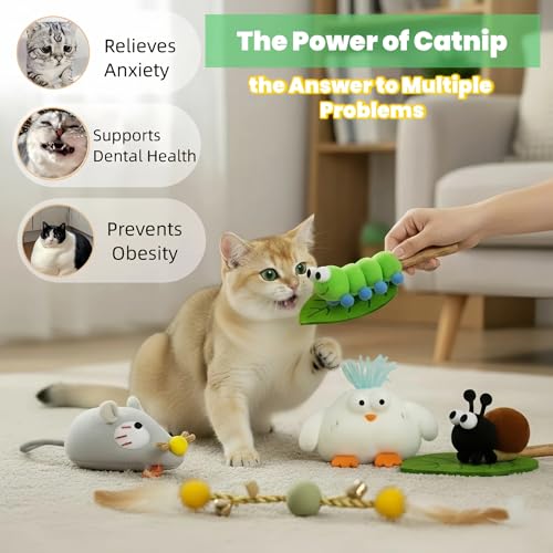 Catnip Toys for Cats, 5 Pack Interactive Cat Toys Set - color: 5Pack-Mouse-1