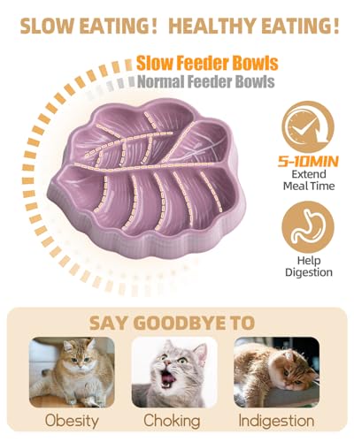 Slow Feeder Dog Bowl, 0.44 Cups Ceramic Dog Food Dish for Fast Eaters Small Breed, Puzzle Bowl for Small Dogs and Cats(Dark Purple)