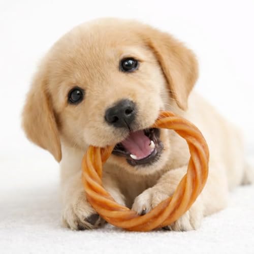 No Rawhide Puppy Teething Rings – Highly Digestible Rawhide Alternative Chews (8 Rings, Pumpkin & Sweet Potato) - size: 4 Count (Pack of 2)