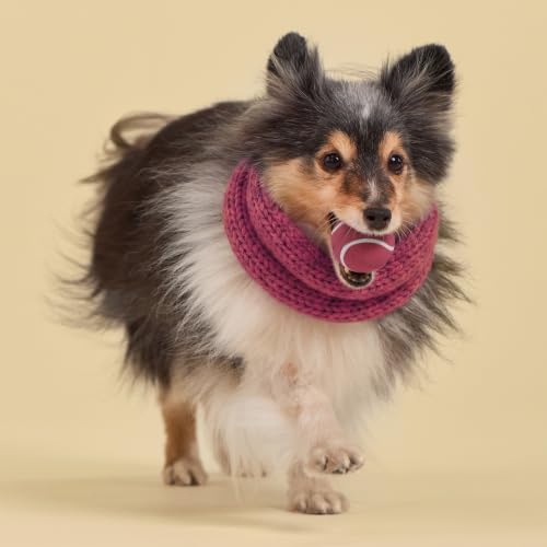 Playology Squeaky Chew Ball Dog Toy - Small, Cranberry Scent, 3-Pack - size: Small (VALUE 3-Pack), style: Cranberry