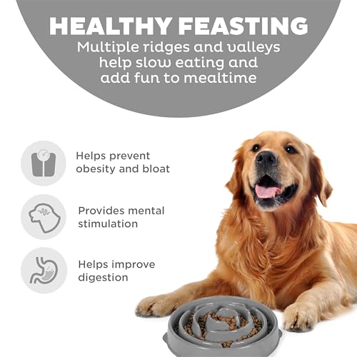 Outward Hound Fun Feeder Slo Bowl Dog Slow Feeder, Drop, Gray, 11.8" - color: Gray, size: Large