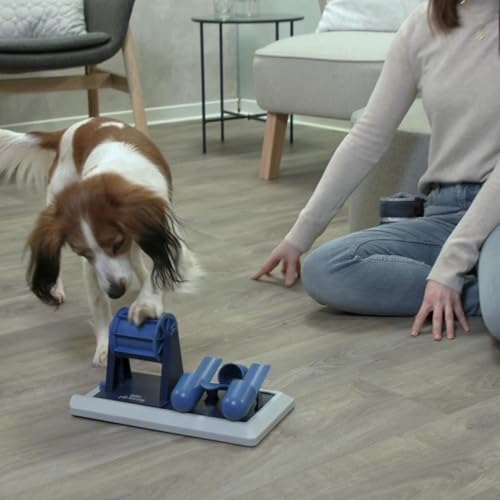 TRIXIE Vario Poker Box 2 Dog Activity Interactive Toy, Level 2 Food Puzzle Game, Brain Teasing Treat Dispenser, IQ and Mental Development Toy for Smart Dogs, Enrichment Toy for Boredom Busting - color: PB Vario 2, size: Level 2