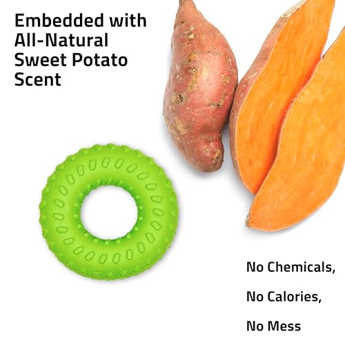 Playology Dual Layer Ring Toy for Aggressive Chewers, Sweet Potato Scent - size: Jumbo, style: Sweet Potato