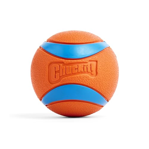 Chuckit! Ultra Ball Dog Toy - Size XXL - for Dogs 100+ lbs - Made from Durable Rubber - Super Bouncy - Floats in Water - 4-inch Diameter - XXL (Pack of 12) - color: Ultra, size: XXL (Pack of 12)
