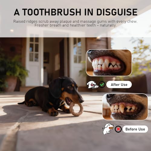 MECOOL Indestructible Dog Chew Toys for Aggressive Chewers 3PCS, Durable Bacon Flavored Nylon Bones for Small Dogs, Puppy Teething Toys, Long Lasting Nylon Dog Chews - size: 3PC-A