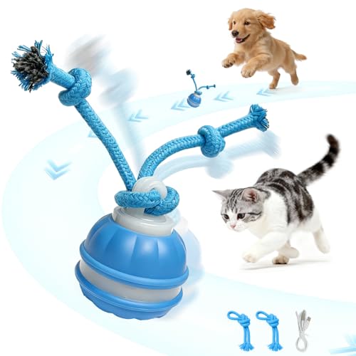 Interactive Dog & Cat Toy, Auto Chirping Ball, Rechargeable Self Play - color: 1 Blue