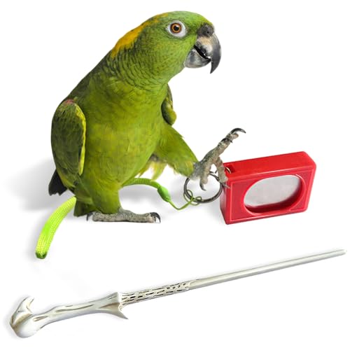 Parrot Training Clicker with Target Stick, Getting Started Bird Clicker Training Kit, All Bird Breeds Training Stick Foster Discipline and Behavior Training, for Parrots Birds Lovers