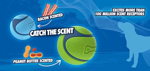 Chuckit! Sniff Ball Dog Toy, Bacon and Peanut Butter, Medium, 2 Pack - size: Medium (2 Pack), style: Duo