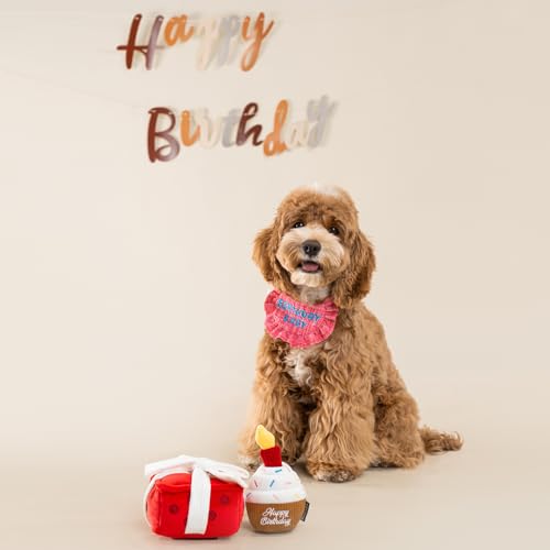 CHEWFFON Gift Box Snuffle Dog Toy, Interactive Treat Hiding Puzzle Toy - style: Gift Box