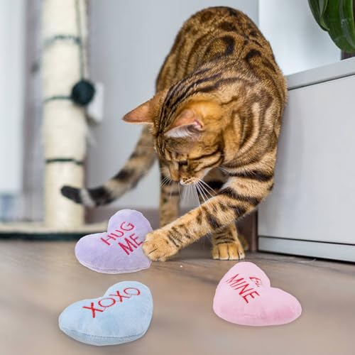 6pcs Valentine's Day Heart Catnip Toy，Valentines Indoor Heart Shaped Cat Toy Plush Interactive Chew Bite Toys for Cat Kitten Indoor Festive Holiday Cat Lover Gift - color: Heart