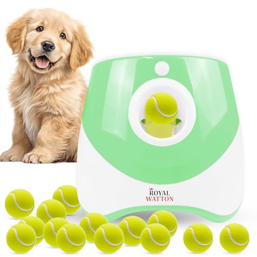 Automatic Dog Ball Launcher for Dogs with 10 Balls, Rechargeable Fetch Toy - color: Green