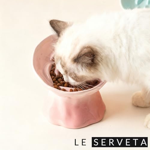 Elevated Ceramic Cat Bowl, Tilted Slow Feeder Pet Dish with Gradient Color Coating, 3.3 Ounces Capacity, Anti-Gulping Design with Rose Bouquet Design (Gradient Pink) - color: Gradient Pink