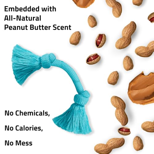 Playology Tug Rope Dog Toys for Medium Dogs - Medium, Peanut Butter Scent - size: Medium, style: Peanut Butter