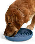 Slow Feeder Dog Bowl - Silicone Dog Bowl, Large, 9.5" x 1.5" - Ocean - color: Ocean - Rainbow Design, size: Large (9.5” Across and 1.5” Tall)