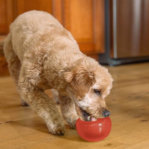 Outward Hound by Planet Dog Lil' Snoop Dog Toy – Treat‑Dispenser Puzzle Ball, Interactive Slow Feeder, Small to Medium Dogs, Bouncy & Mint-Infused, Red, 3.9" - color: Red Lil Snoop