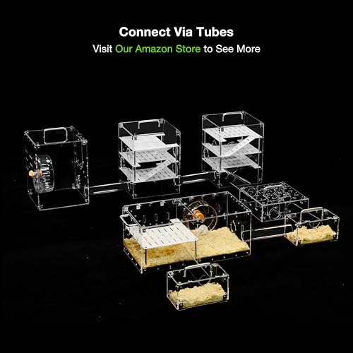 GuineaLoft™ Acrylic Cage (Model-P3) - Small 2x1' Enclosure w/Lid & Bottom - color: Model-P3
