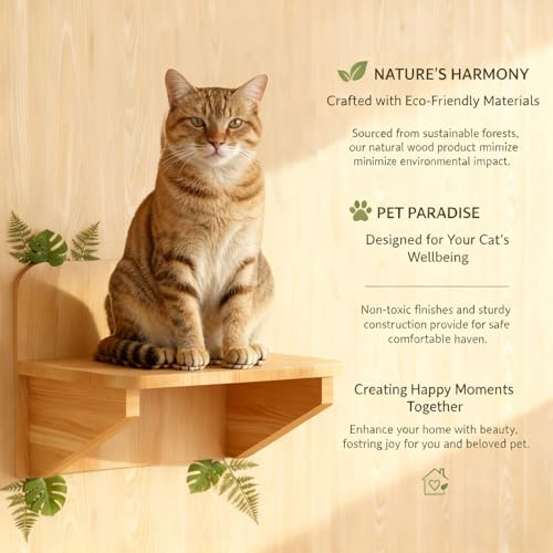 Solid Pine Wood Cat Wall Shelf - Unfinished Natural Wood Perch for Indoor Cats, Wall-Mounted Lounging Bed & Climbing Platform, Space Saving Cat Furniture