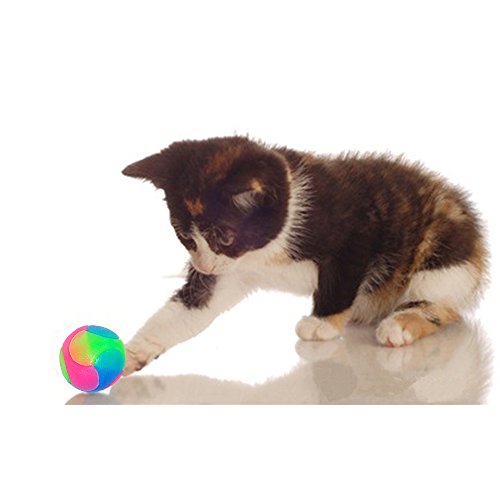 4 pcs Light Up Dog Balls Flashing Elastic Ball Glow in The Dark Interactive Pet Toys for Puppy, Cats, Dogs - color: 4 pcs smooth balls