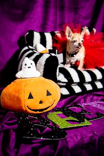 Glow Pups Halloween Hide and Seek Dog Toys, Orange Pumpkin
